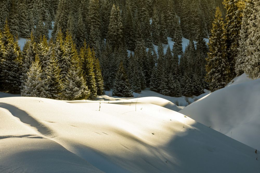 Photograph by Галина Канеева