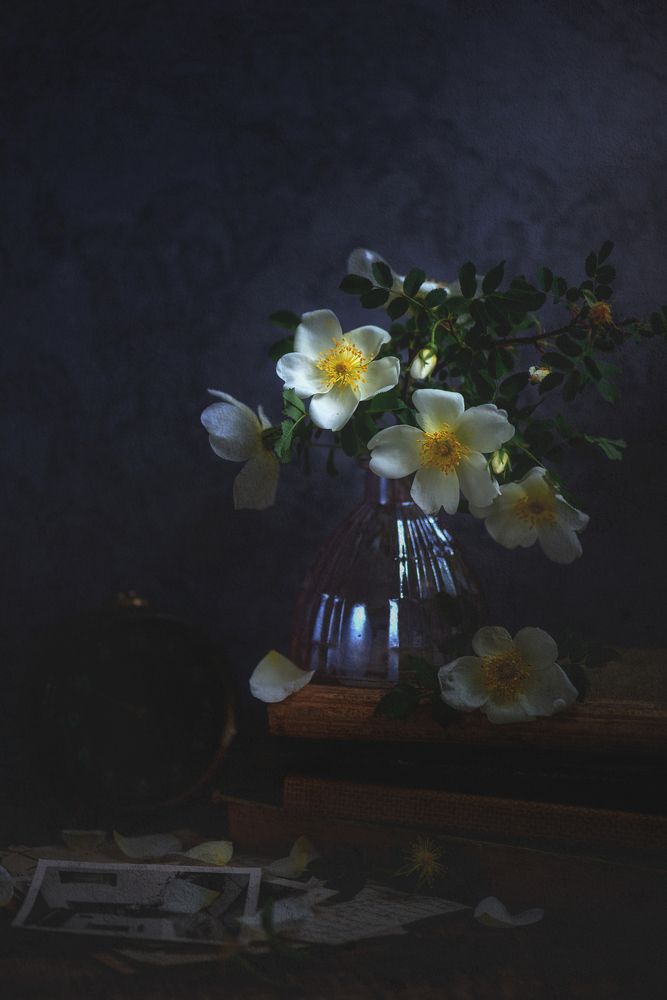 In the late afternoon