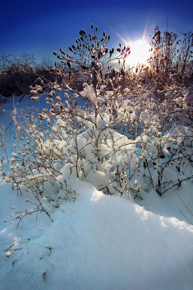 Зимнее утрр