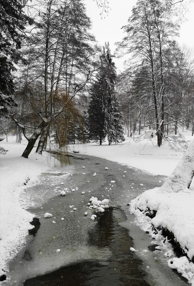 В парке