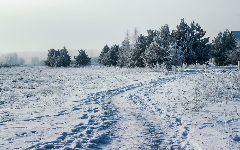 Photograph by Луговская Анастасия