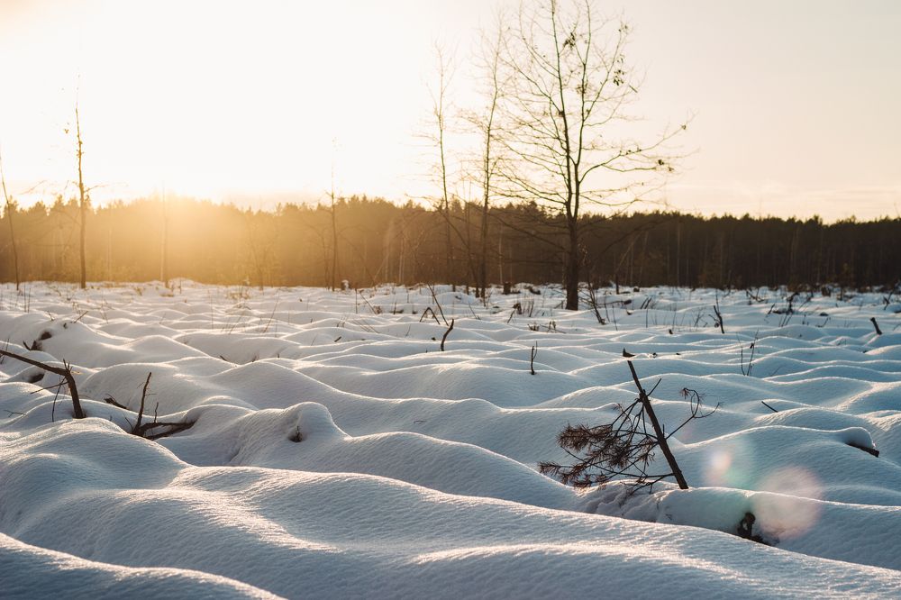 Photograph by Луговская Анастасия