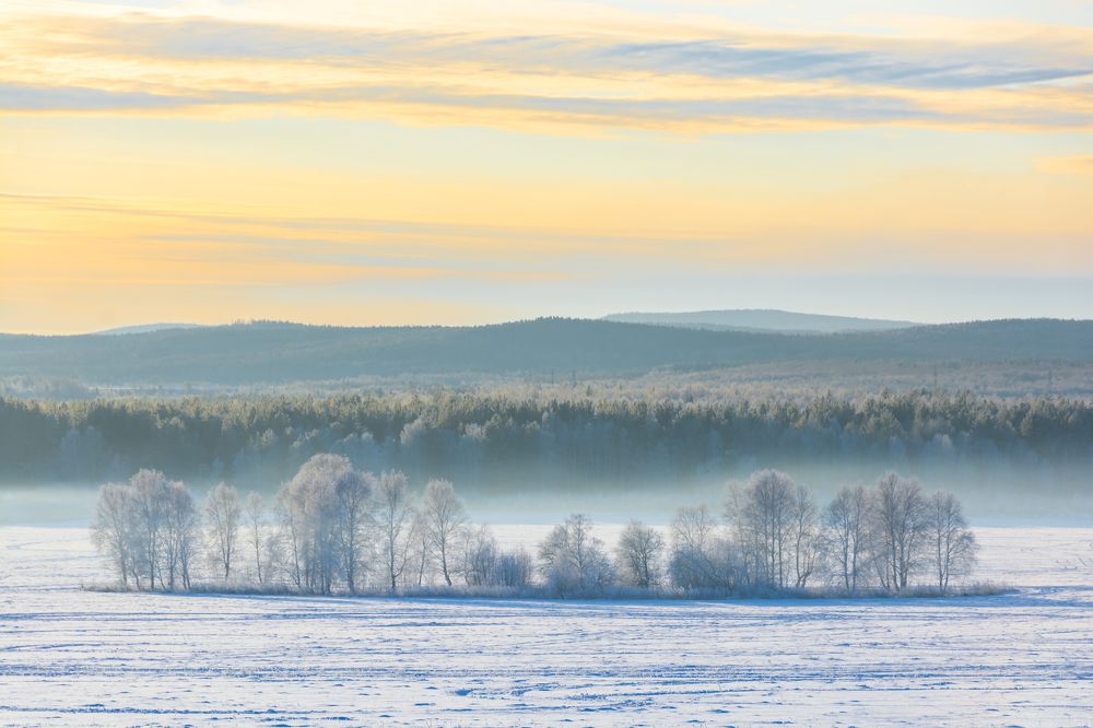 Заиндевело