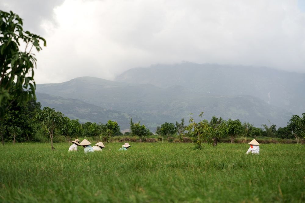 Vietnam