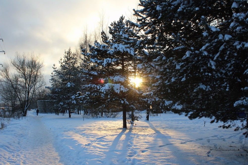 зимнее чудо