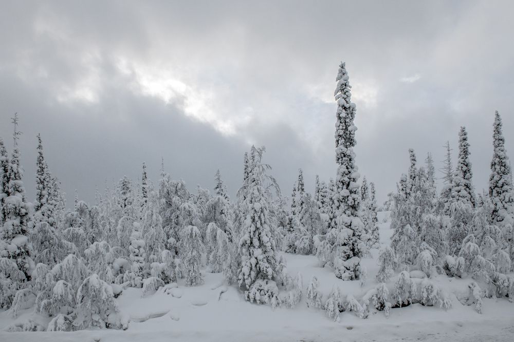 Зима. Хибины.