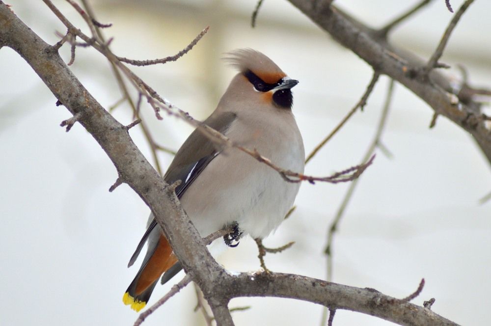 Photograph by Виктор Печищев