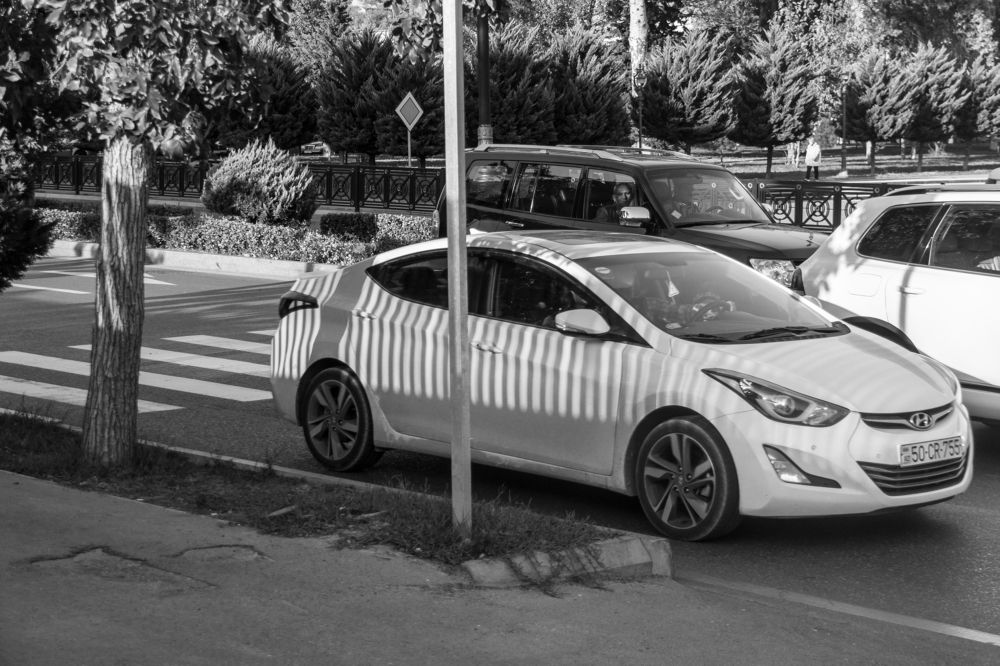 Полосатый рейс