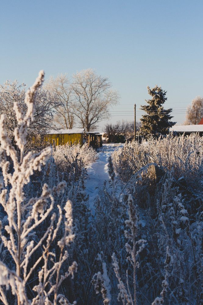 Фотография автора Элеонора Григорьева