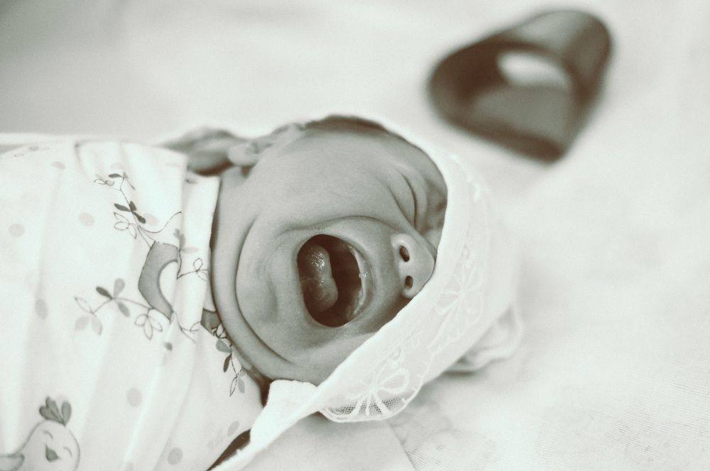 Новая жизнь.