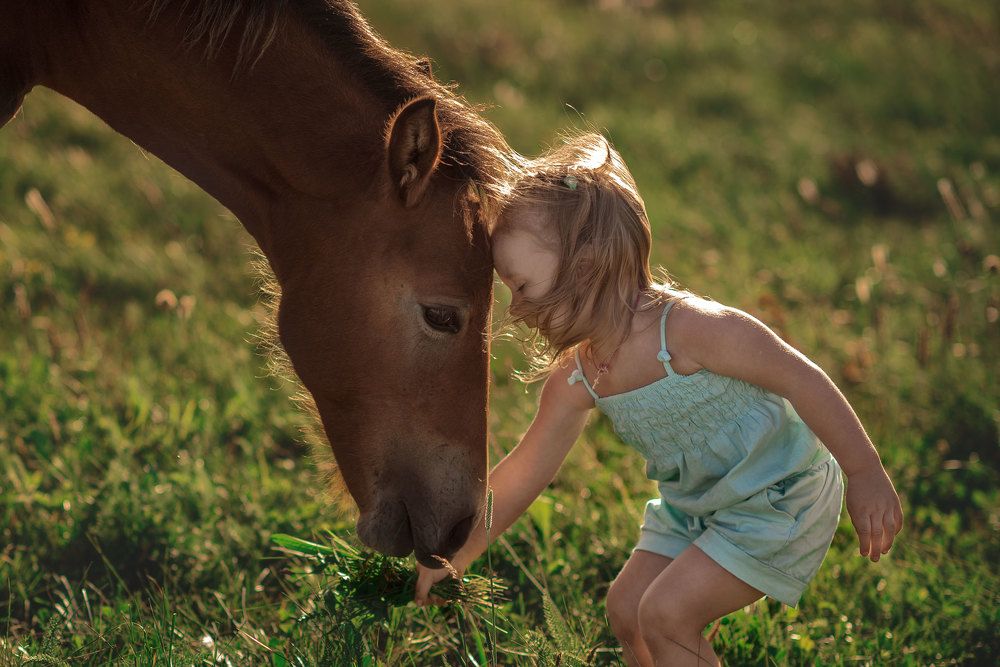 Верные друзья