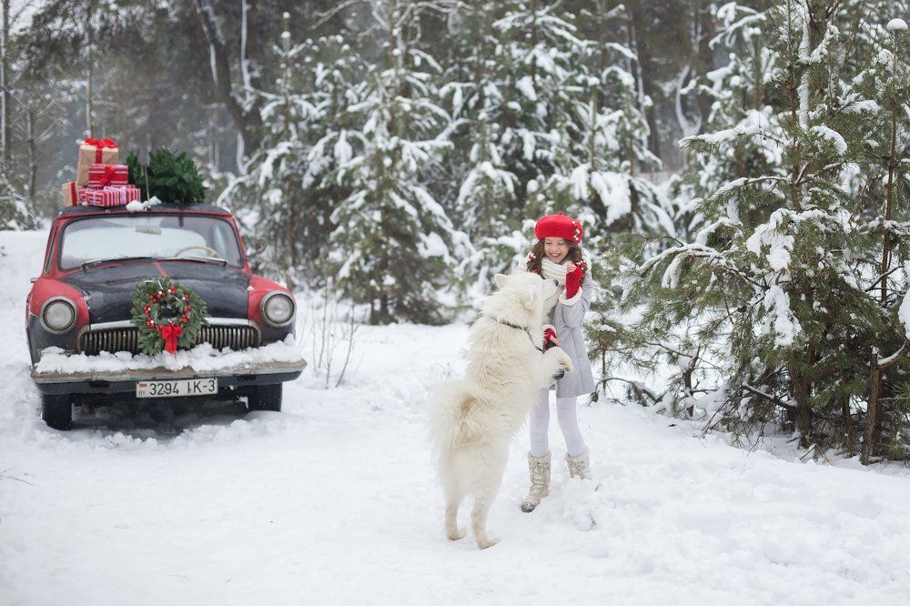 Мой снежный друг!