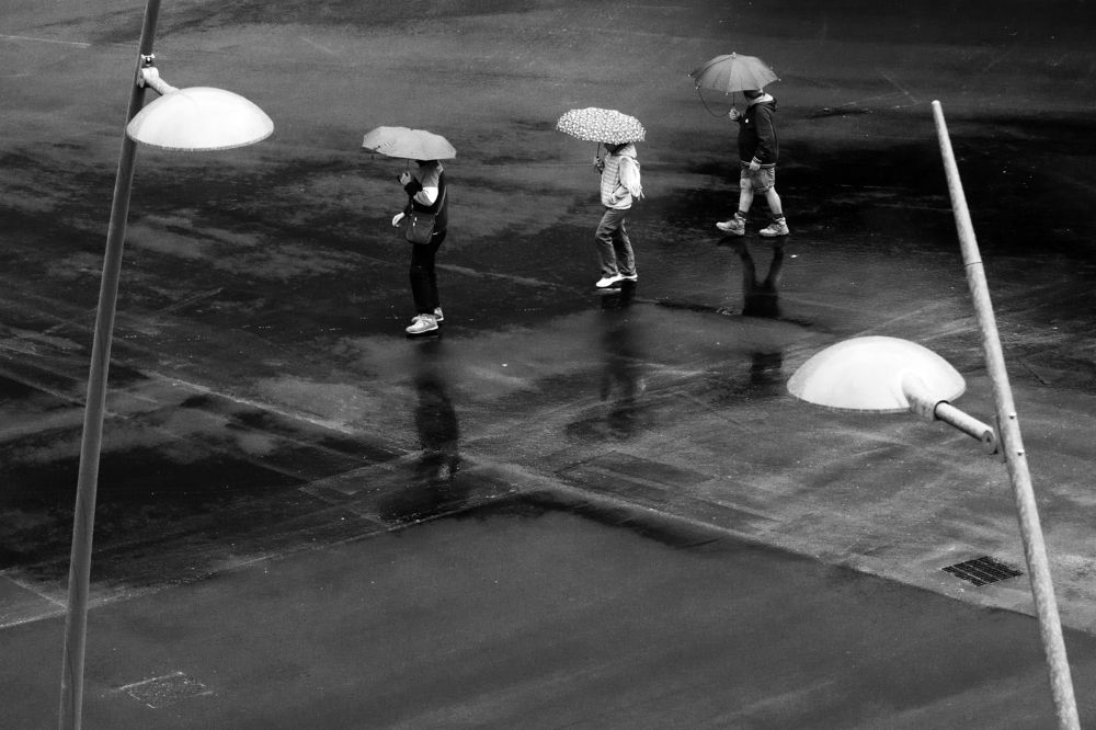 Umbrellas