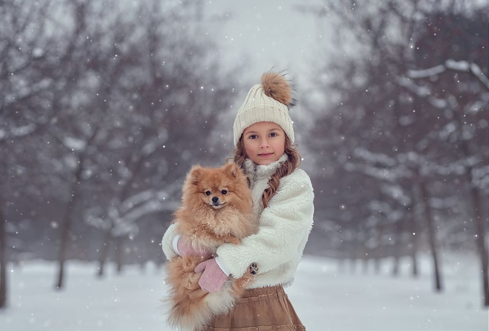 Зимняя прогулка