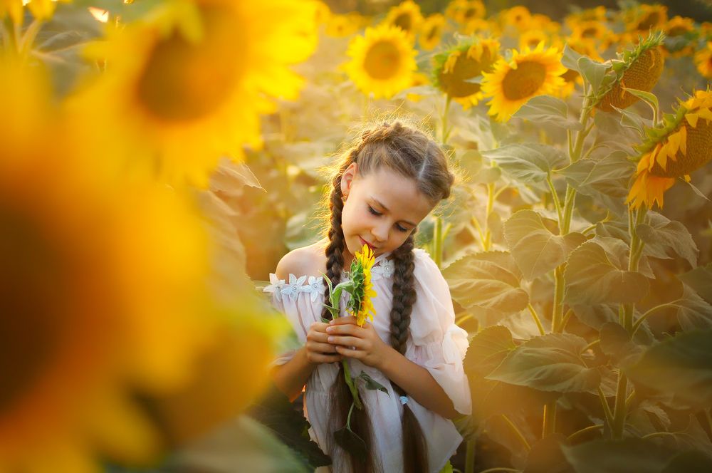 Хочешь, я расскажу тебе, как люблю лето...