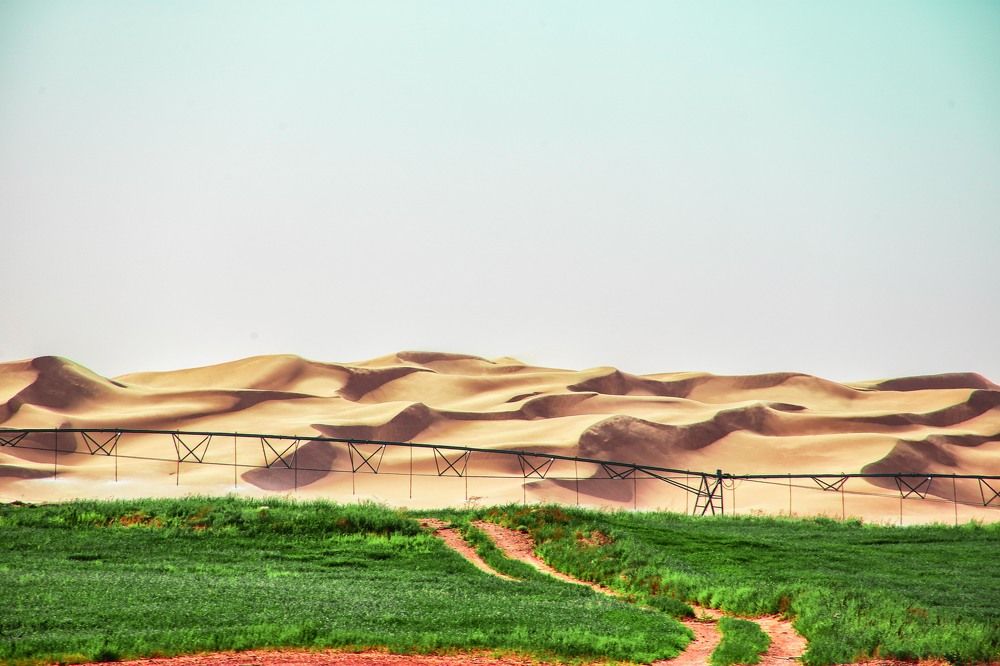 Desert farm