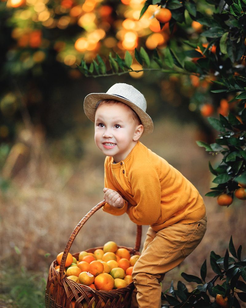 Мандариновый сад