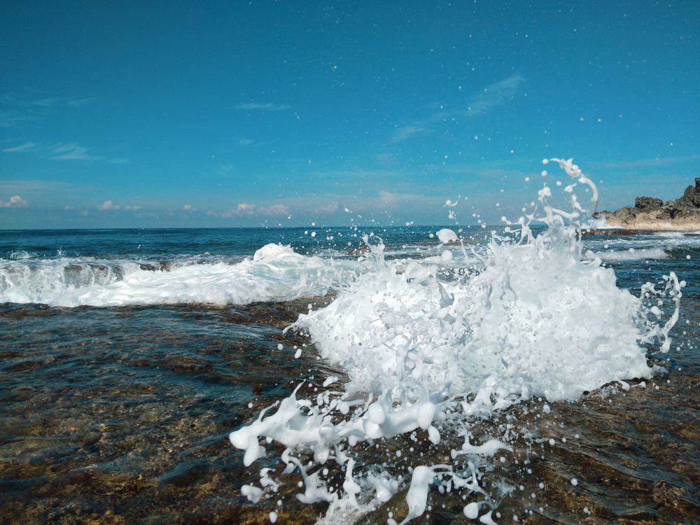 Seas the day