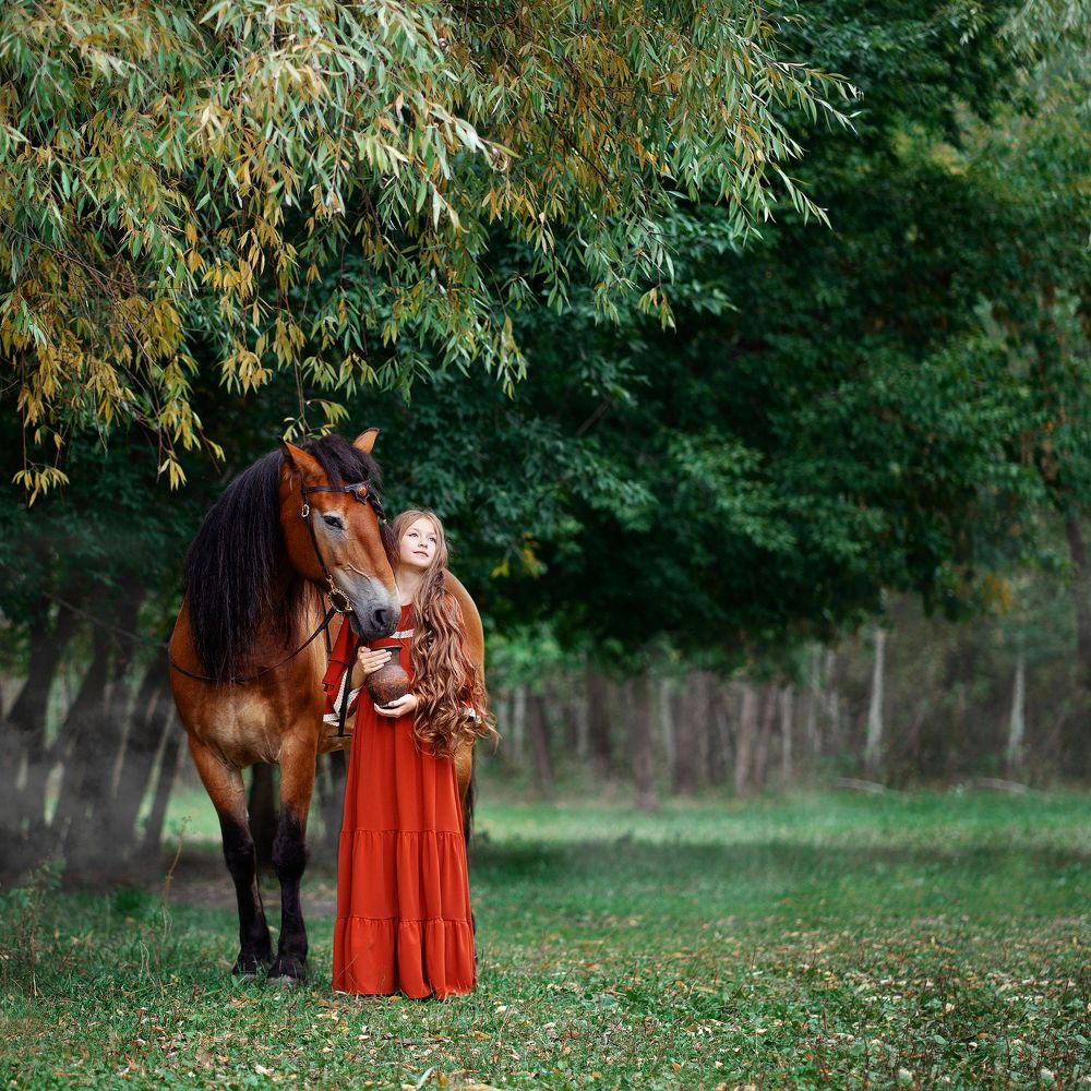 Красота и изящность