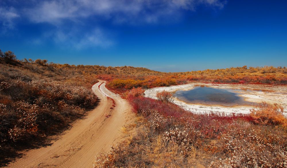 Долгая дорога в дюнах