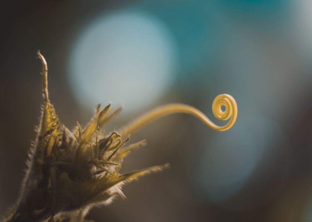 Photograph by Наталья Путято