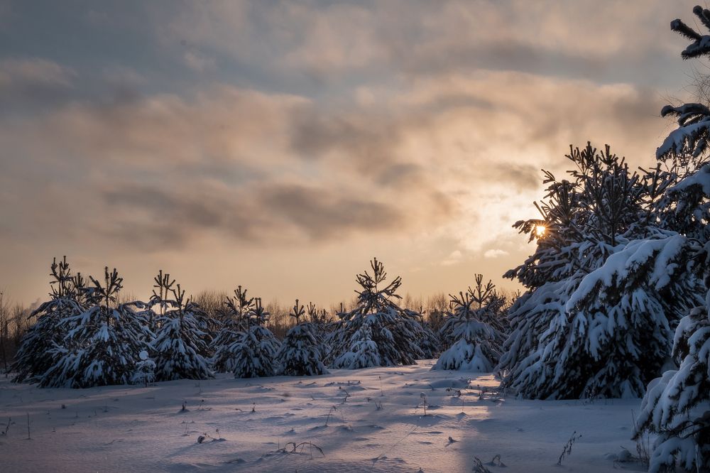 Зимний вечер...