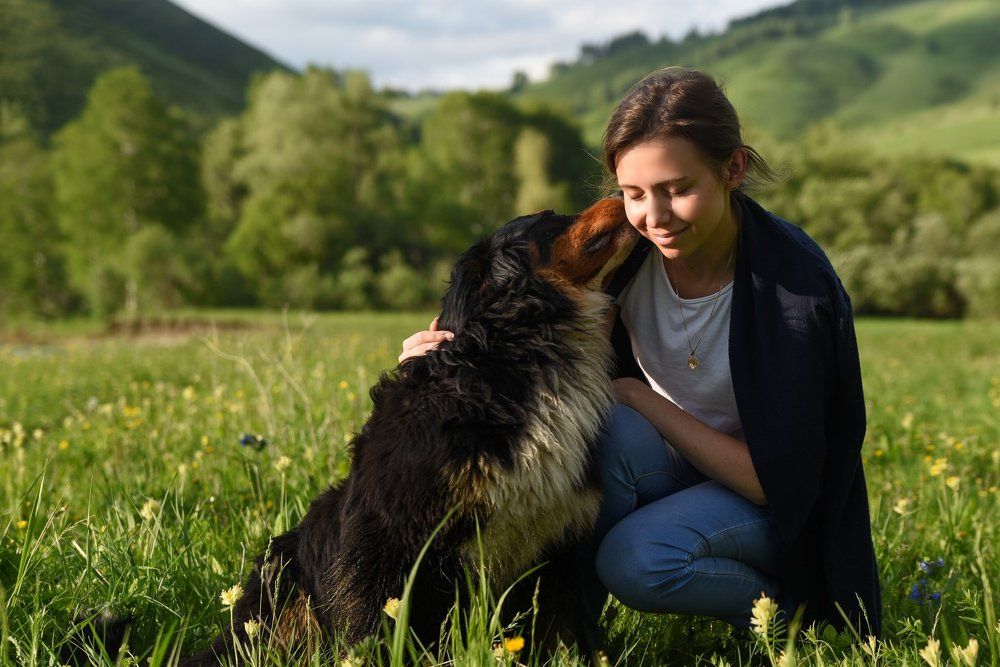 Без лишних слов