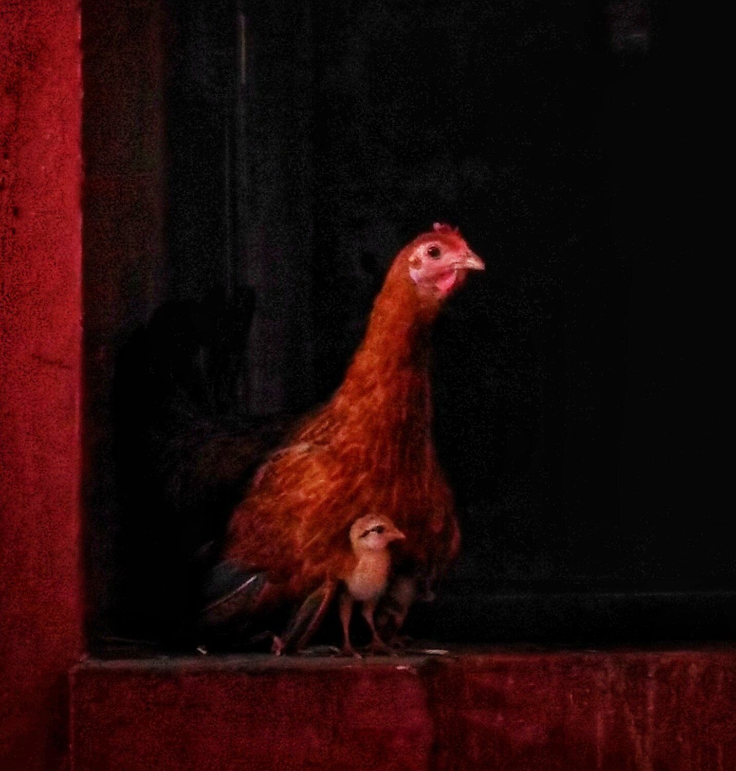 Mother love
