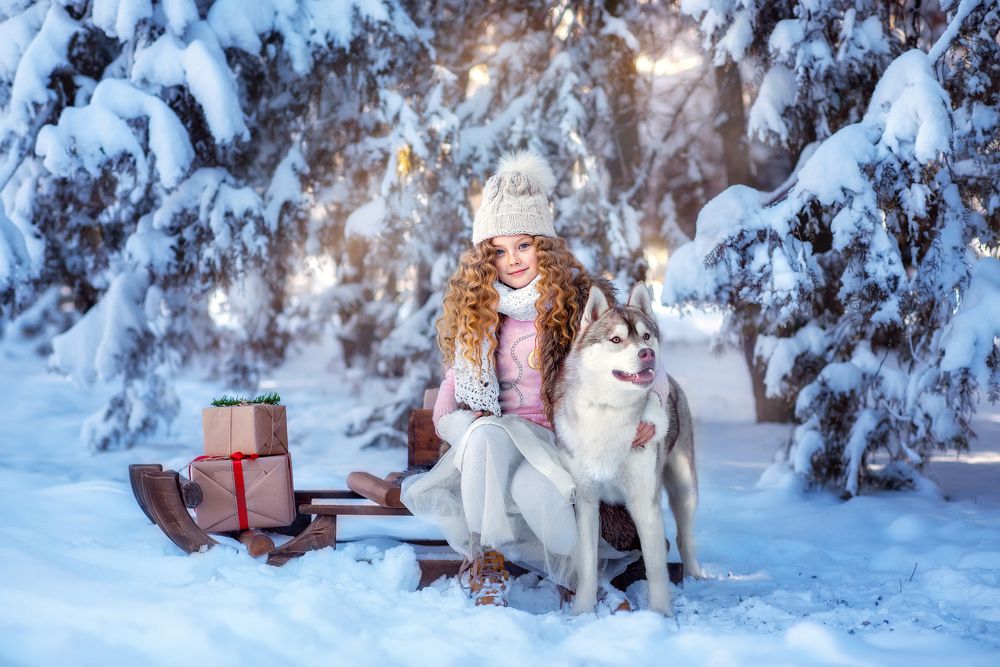 Фотография автора Андрей Ульяшев