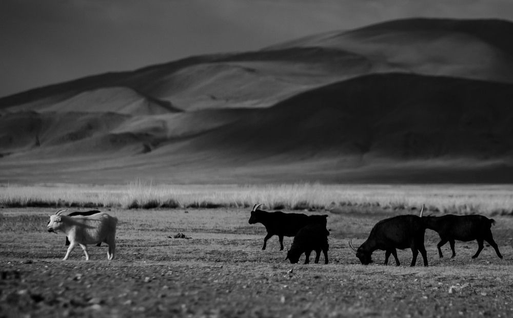 Когда преследуют темные мысли...