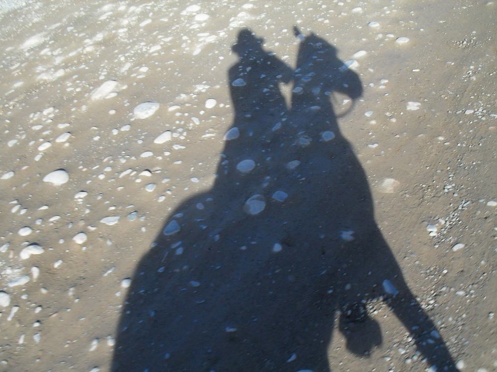 Конная прогулка высоко в горах, Кыргызстан