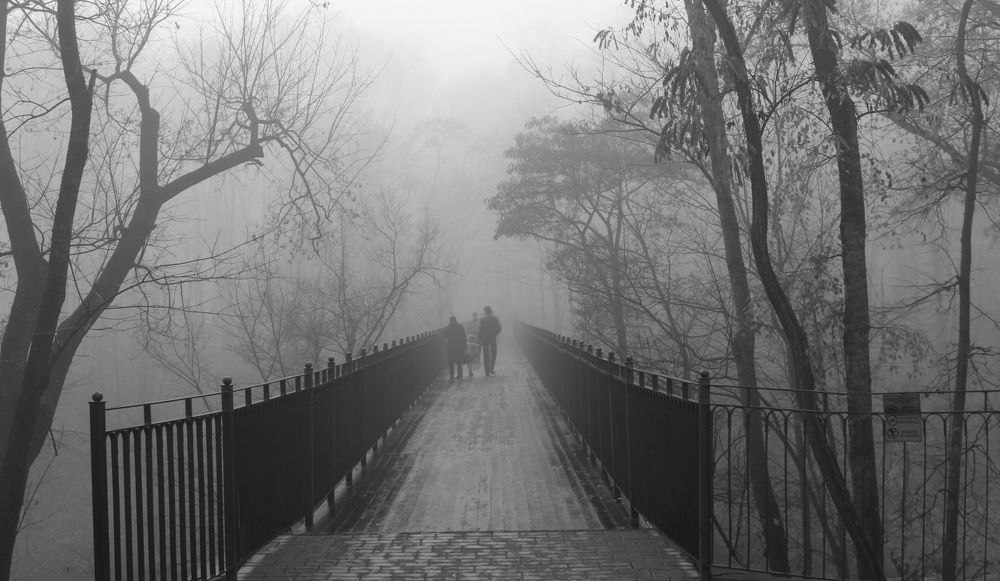 В туманную даль...