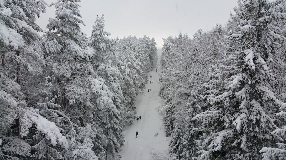 зимушка с вышки