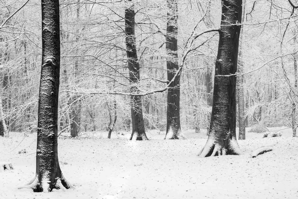 Almost black and white