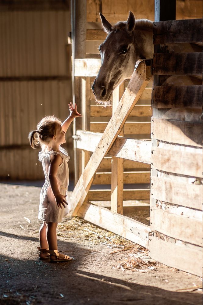 знакомство