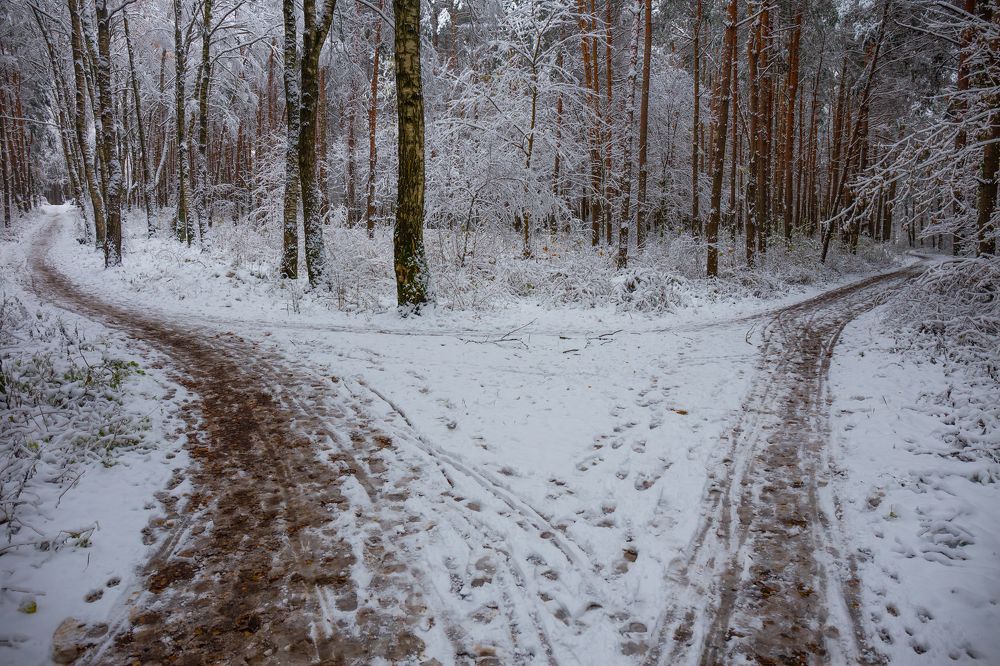 Раздвоение