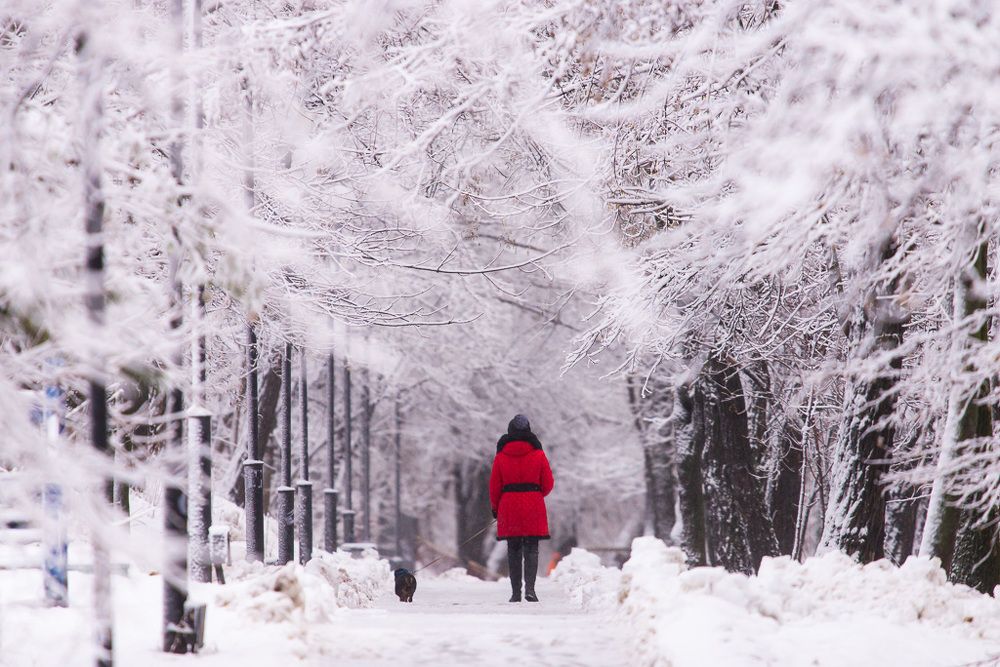 Photograph by Михаил Гнатковский