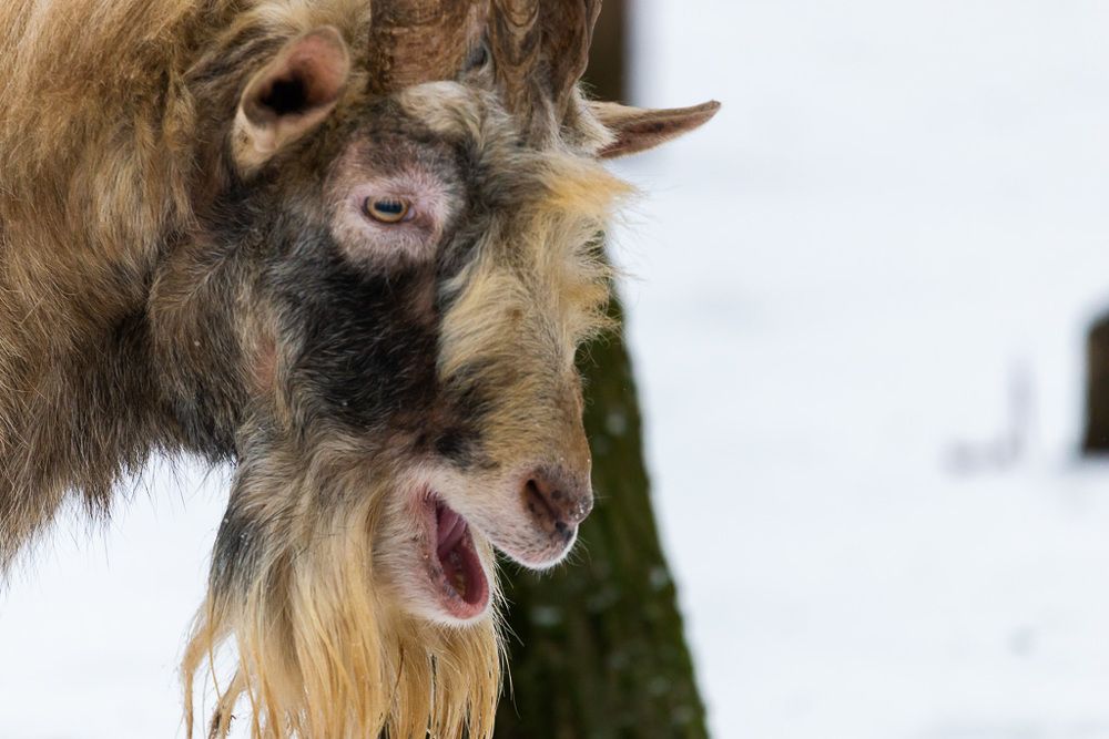 Photograph by Михаил Гнатковский