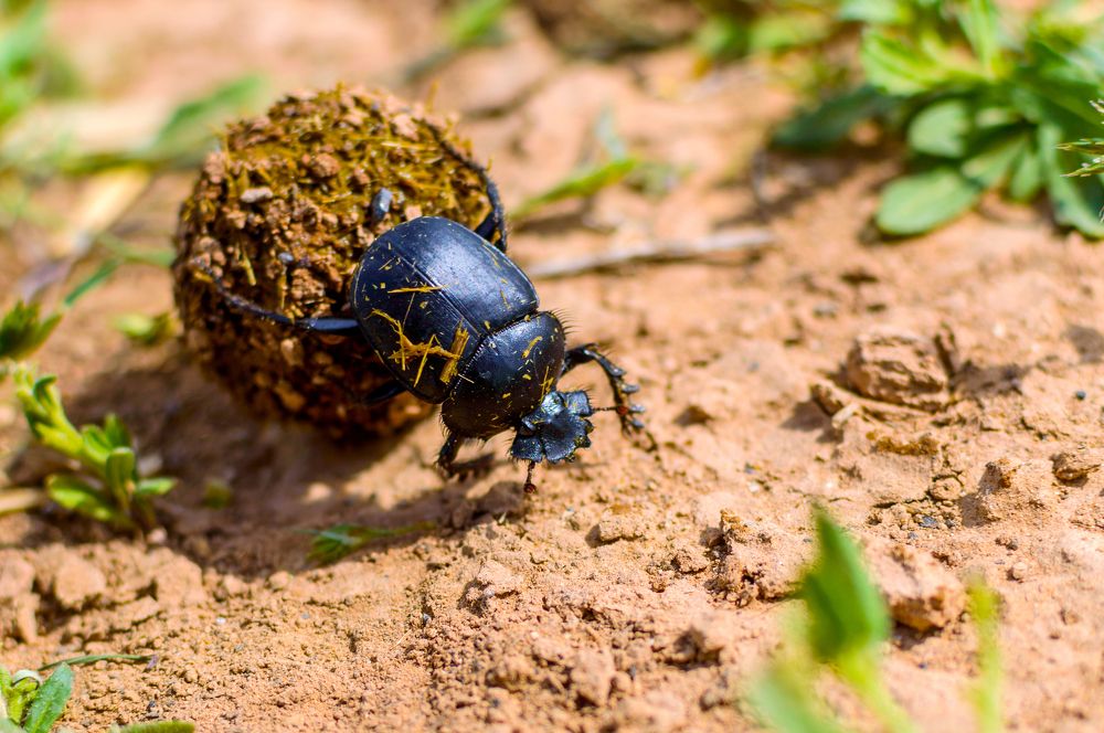 Photograph by Михаил Гнатковский