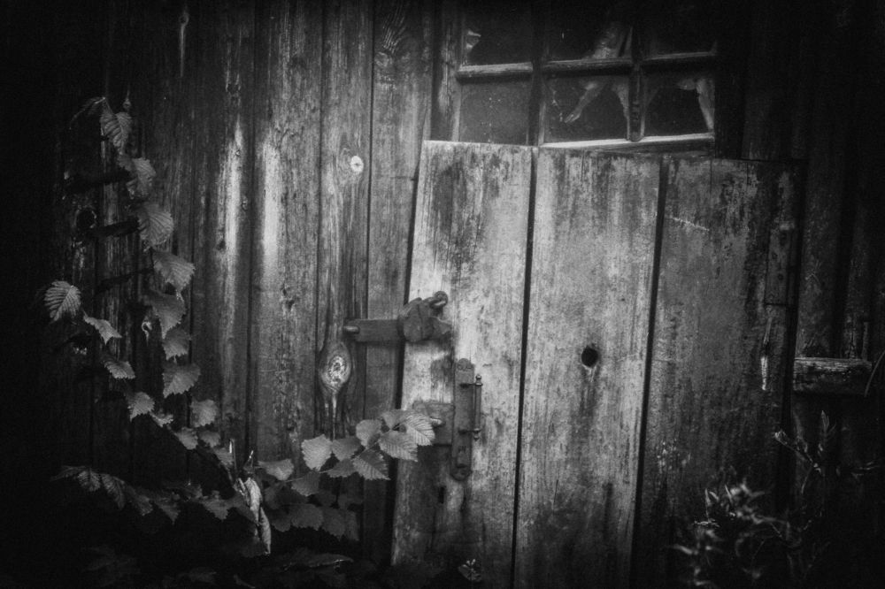 Photograph by Вера