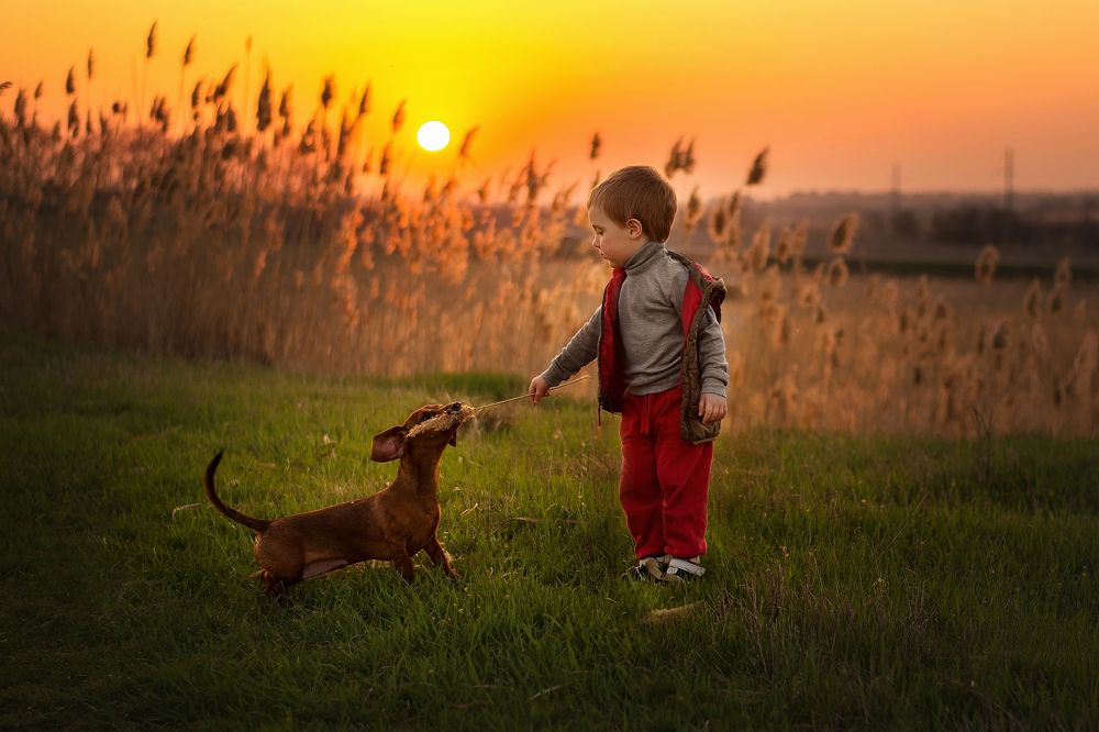 Photograph by Ольга Мищенко