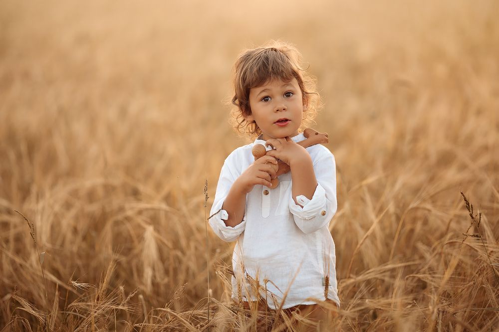 Вокруг так много интересного