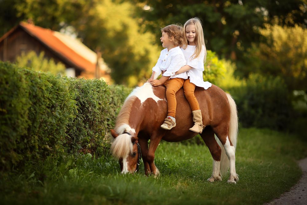 Прогулка в деревне