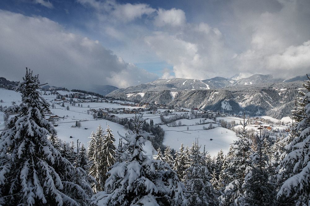 Photograph by Nexter