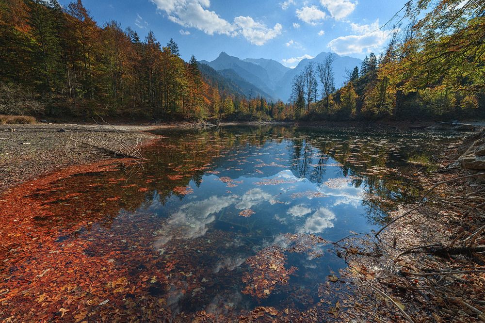 Краски осени