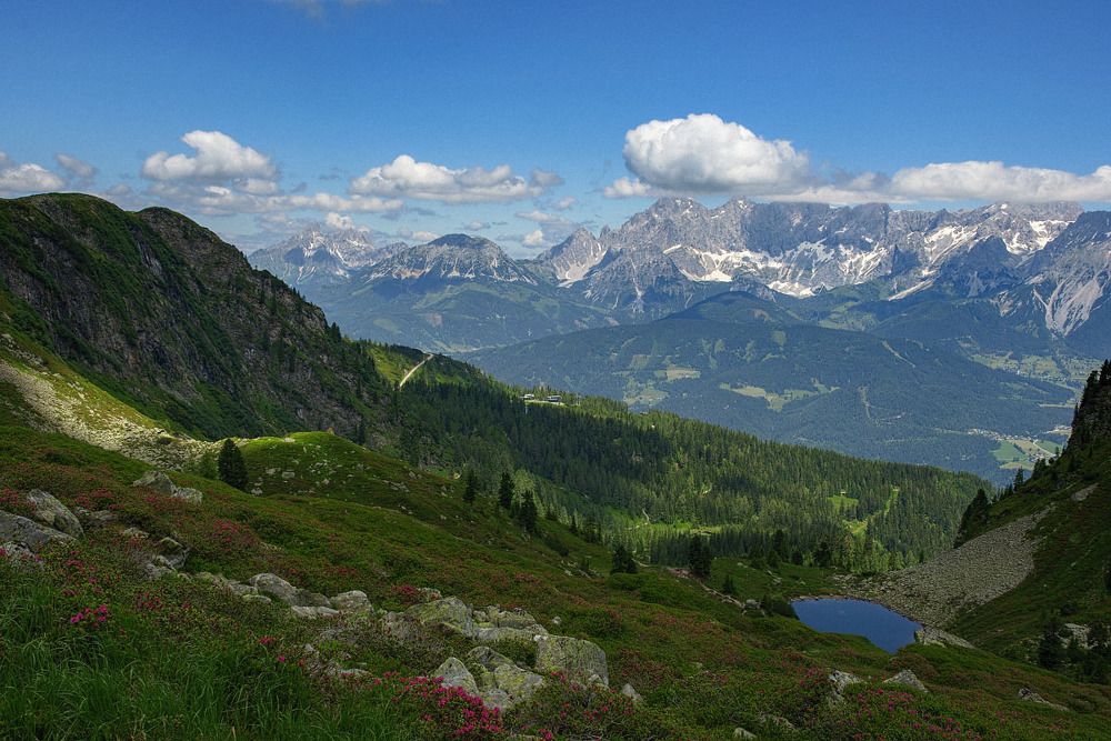 Photograph by Nexter