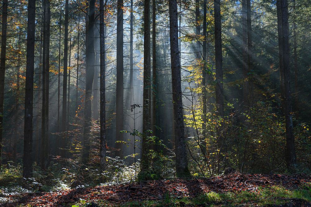 На про(свет)