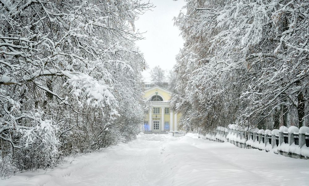 Заснеженный город