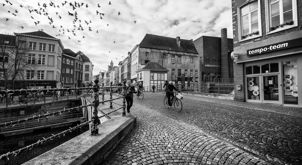 Зимние птицы