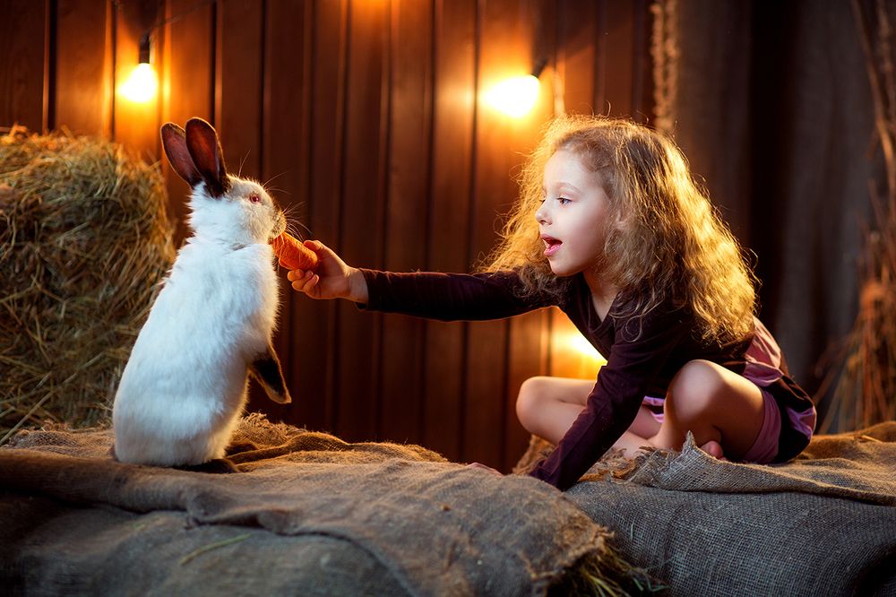 Photograph by Дарья Кучерова